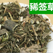 Chinese herbal medicines  xi qian cao